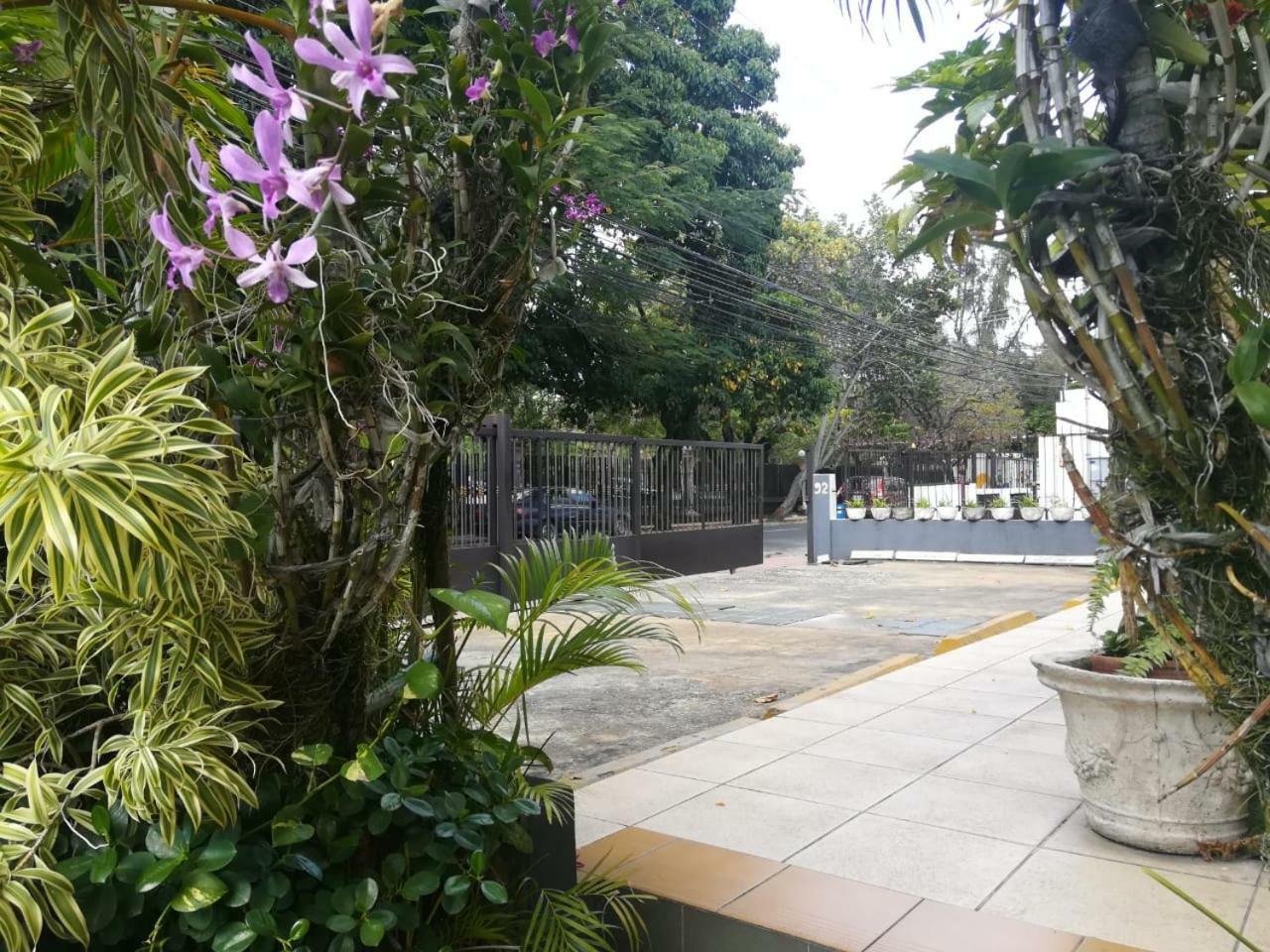 Jardines Del Teatro Hotel Santo Domingo Exterior photo